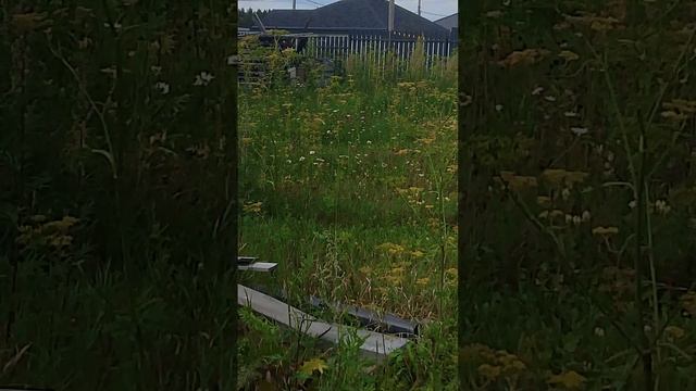 обзор на участок смотреть онлайн