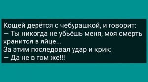 Подборка смешных анекдотов! Юмор Смех Настроение! Выпуск 6