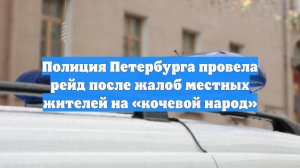 Полиция Петербурга провела рейд после жалоб местных жителей на «кочевой народ»