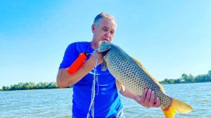 Сазан чуть не утащил удилище. Астрахань  #Дебют #fishing #shorts #рыбалка #carpfishing