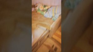 ПОП ИТ АРКАДИЙ ВЫПРАШИВАЕТ КОНФЕТЫ У ДИМЫ, СОН УДИВИЛ АРКАДИЯ😱😱