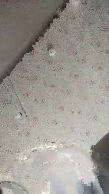 паша
