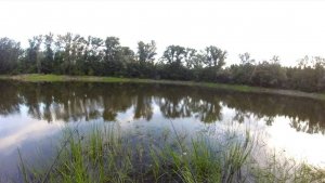 Оз.Зимснаряд рыбалка на маховую удочку ловля карася и не только