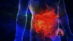 Гаряев-Матрицы.РФ__Синдром раздраженного кишечника ⚠️ Оригинальная матрица по технологии Гаряева