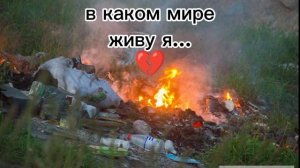 разве красиво жить в мире полном смертей по вине людей?...