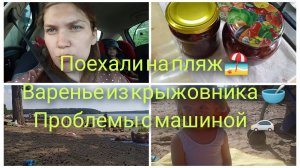 Проблемы с машиной/ Много болтаю/ Отдыхаем на пляже/ Варенье из крыжовника