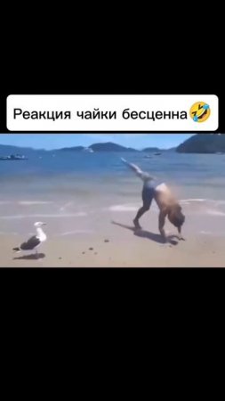 Держи равновесие