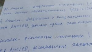Линейка моделей смартфонов Samsung Galaxy. Что же выбрать?