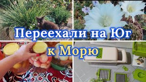 ЖИВЁМ У МОРЯ,СЕЗОН В РАЗГАРЕ,СДЕЛАЛА НЕ ТО ЧТО ХОТЕЛА,МНОГО ЗАГОТОВОК, ПОСЕЯЛА ОГУРЦЫ