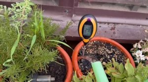 Измеритель влажности и температуры почвы.