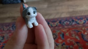 кот на ферме