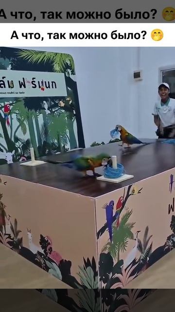 А что так можно было смотреть онлайн