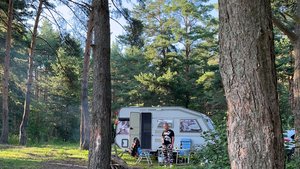 С караваном в лес по бездорожью? Легко