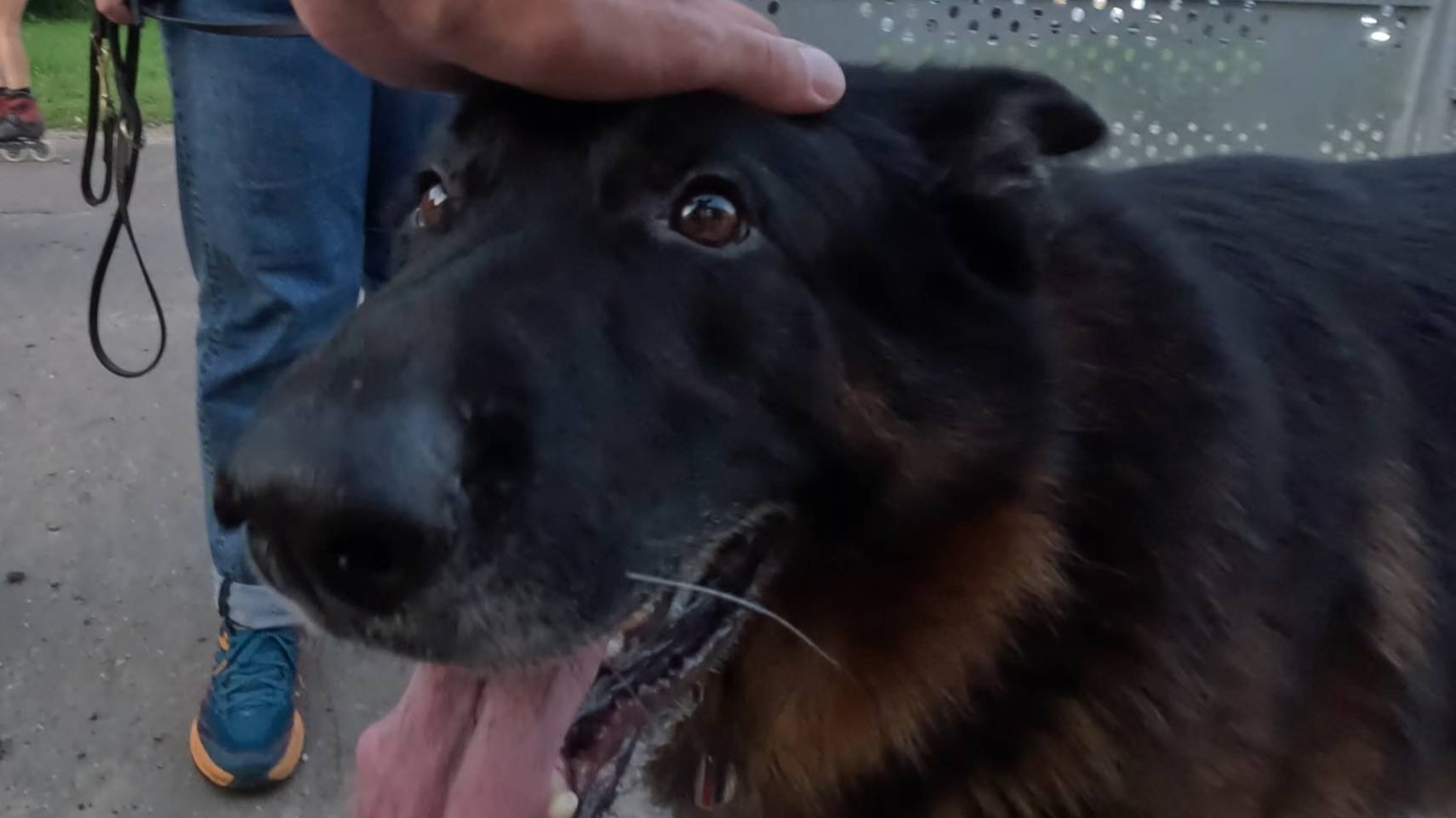 350км - Тизер 2