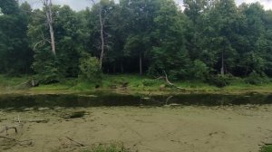 д.Ростислаевка, Ульяновская обл., июль 2025, р.Сура, за Сурой озёра и поля, леса и поля в деревне.