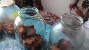 ПРИГОТОВИЛА КВАС,ПЛОВ.ДЕЛА по ХОЗЯЙСТВУ.Жизнь в деревне.