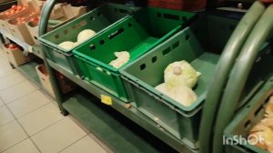 Целый день катались, как живут в русской деревне...