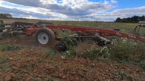 Ecolotiger ET535 в работе с трактором Кировец по залежам. Вологодская область