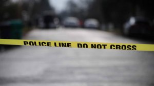 Мать запекла детей в духовке и вызвала полицию