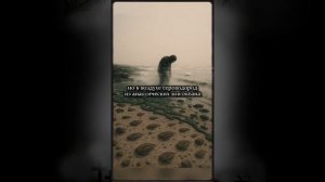 Ты попал в Ордовик