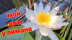 Дом у лимана. Переезд к Вере и Андрею. Моем авто. Олег уехал в Рошаль. Торт "Молочная девочка".