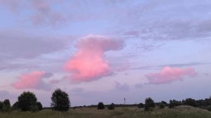 Что делать в такой ситуации, если у вас спрашивают совет.