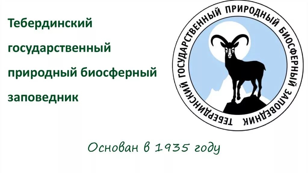 Тебердинский государственный заповедник,обзор по парку 🧐