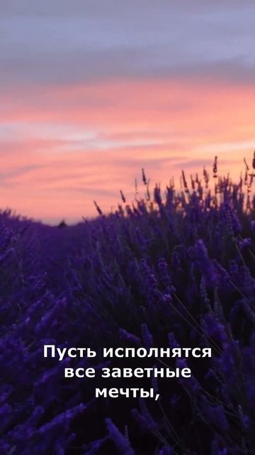Наша песня на 8 марта для самых прекрасных созданий в мире❤️ #8марта #8мартапоздравление смотреть онлайн