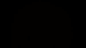 Б. Мартини. Гавот F - Dur (с мелодией для скрипки) (с аккомпанементом на клавесине)