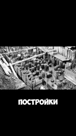 Лиственница в воде практически вечна #фундамент #сваи #лиственница #стройка