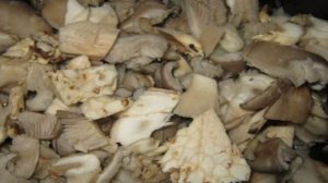 Гречка с вешенками