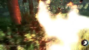 ▼The Forest первый взгляд Happy wolf