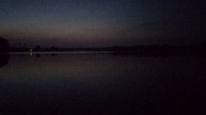 Зачетные толстолобы ночью. Подлещики на кормушки и поплавок. Отличный отдых. Кормачки