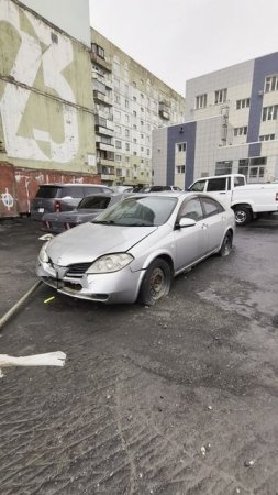 Грустная волжанка с английским акцентом.