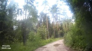 Дорога на Белое озеро от посёлка Никологоры июль 2025