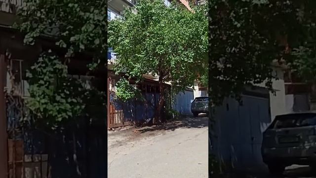 06 июля 2025 мухиани