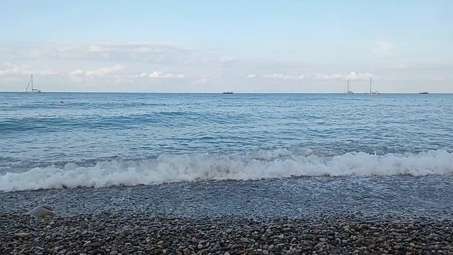 7313.mp4 смотреть онлайн