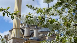 Ахмат - Сила России. Серия 6