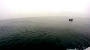 О,море море!