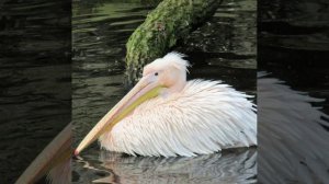 Это интересно-47