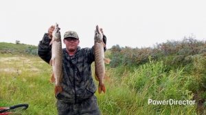 не стал снимать и пожалел.Результат рыбалки.