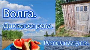 Волга. Дикие острова. Речные прогулки. Лето 2025г