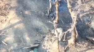 Уничтожение блиндажа ВСУ.