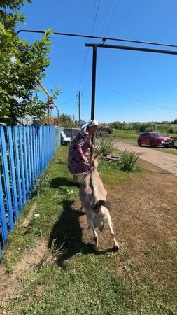 Ты мне не указ