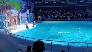 Поход в дельфинарии.г.Новосибирск