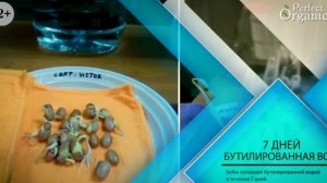 Идеальная вода для жизни