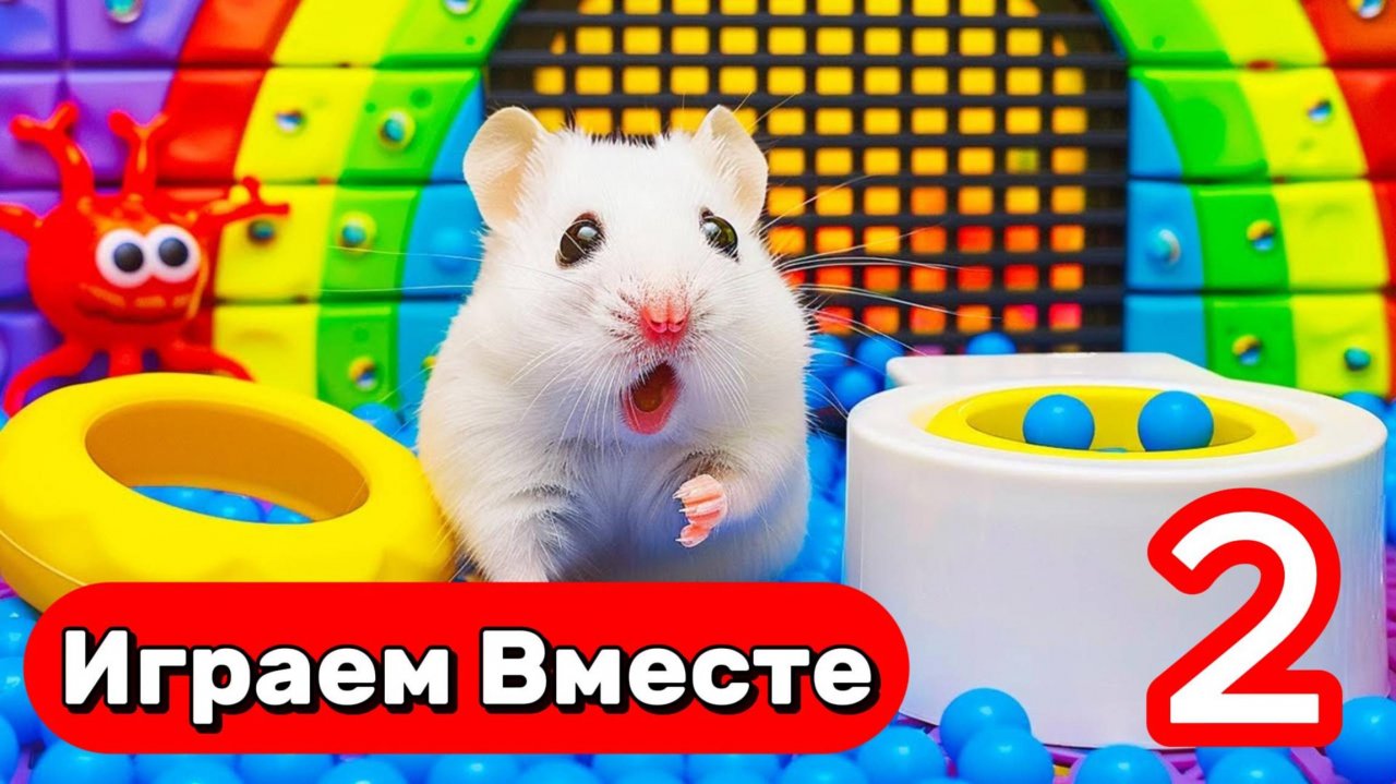 ИНТЕРЕСНЫЙ ЛАБИРИНТ С ЛОВУШКАМИ ДЛЯ ХОМЯКА 🐹 ВЫБИРАЕМСЯ ВМЕСТЕ ИЗ ЛАБИРИНТА ! ВИДЕО ДЛЯ ДЕТЕЙ2