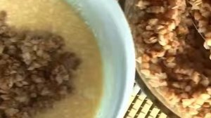 Гречневик с творогом