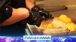 Блюда как в ресторане: шеф-повар в зоне СВО поднимает боевой дух товарищей