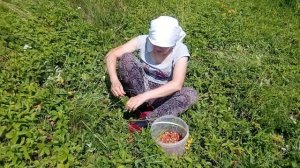 Приехали к друзьям за земляникой!